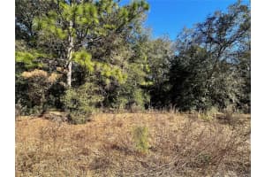 Lot 21 SW 151ST TERRACE, OCALA, FL 34481 Sold 03/10/25