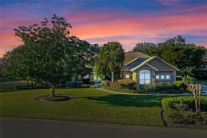 11359 WILLOW GARDENS DRIVE, WINDERMERE, FL 34786 Sold 05/16/25