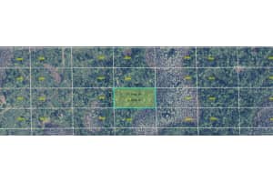 DILL RD, ORLANDO, FL 32820 - MLS#MFRO6273097