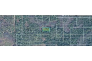 DILL RD, ORLANDO, FL 32820 - MLS#MFRO6273098