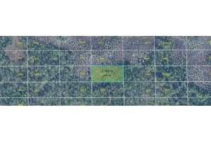 DILL RD, ORLANDO, FL 32820 - MLS#MFRO6273098