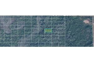 DILL RD, ORLANDO, FL 32820 - MLS#MFRO6273099