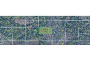 DILL RD, ORLANDO, FL 32820 - MLS#MFRO6273100