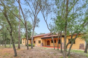 3141 OAK ALLEY DRIVE, APOPKA, FL 32703 Sold 03/31/25