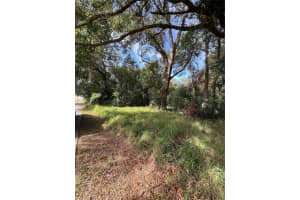 875 OCOEE APOPKA ROAD, APOPKA, FL 32703 - MLS#MFRO6273195
