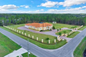19115 PALMVIEW STREET, ORLANDO, FL 32833 Sold 05/15/25