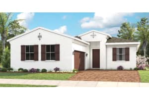 14517 Coastal Woodland Ln, PARRISH