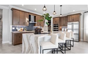 14517 COASTAL WOODLAND LANE, PARRISH, FL 34219 - MLS#MFRO6273736