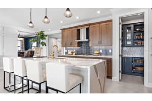 14517 COASTAL WOODLAND LANE, PARRISH, FL 34219 - MLS#MFRO6273736