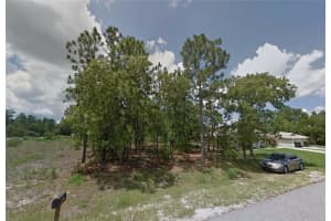 PECAN RUN CRSE, OCALA, FL 34472 Sold 02/10/25