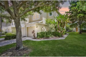 1006 Vista Cay Ct, BRANDON