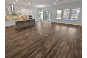 4739 BUTLER NATIONAL DRIVE, WESLEY CHAPEL, FL 33543 Sold 04/15/25