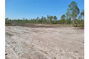 1001 OMEGA RANCH ROAD, NEW SMYRNA BEACH, FL 32168 - MLS#MFRO6274399