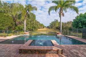 3050 ROLLING HILLS LN, APOPKA, FL 32712 Sold 03/24/25