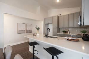 2524 PARSONS POND CIRCLE, KISSIMMEE, FL 34743 Sold 03/03/25