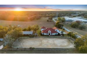 4230 Rex Dr, WINTER GARDEN
