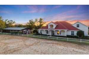 4230 REX DRIVE, WINTER GARDEN, FL 34787 - MLS#MFRO6274608