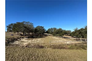 17901 CORALWOOD LANE, GROVELAND, FL 34736 - MLS#MFRO6274862