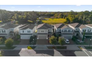 3046 SLOUGH CREEK DRIVE, KISSIMMEE, FL 34744 Sold 03/07/25