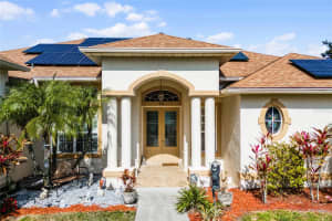 111 MILLHOLLAND STREET, OAKLAND, FL 34760 Sold 03/17/25