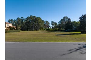 9151 TIBET POINTE CIRCLE, WINDERMERE, FL 34786 - MLS#MFRO6275446