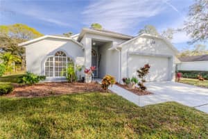 3667 Kingswood Ct, CLERMONT