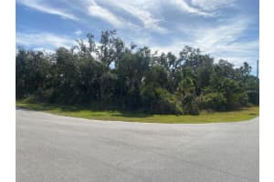 14113 NEVADA AVENUE, PORT CHARLOTTE, FL 33953 - MLS#MFRO6275559