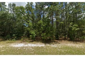 SW 132ND ST, OCALA, FL 34473 Sold 04/04/25