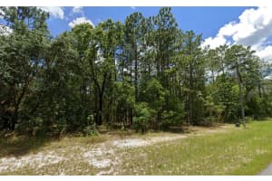 SW 132ND ST, OCALA, FL 34473 Sold 04/04/25