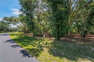3150 BRIGHT LAKE CIRCLE, GROVELAND, FL 34736 - MLS#MFRO6276031