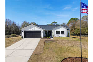4039 MEADOW RUN LANE, WESLEY CHAPEL, FL 33543 Sold 03/13/25