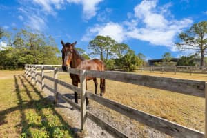 2140 W STATE ROAD 46, GENEVA, FL 32732 - MLS#MFRO6277020