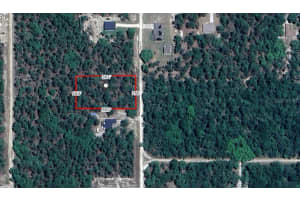 9965 129TH TERRACE ROAD, DUNNELLON, FL 34432 Sold 03/25/25