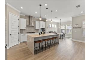 234 HAMMOCK PRESERVE LOOP, WINTER GARDEN, FL 34787 Sold 04/10/25