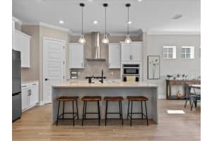 234 HAMMOCK PRESERVE LOOP, WINTER GARDEN, FL 34787 Sold 04/10/25