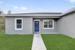 42 FISHER WAY TRACK, OCKLAWAHA, FL 32179 - MLS#MFRO6277922