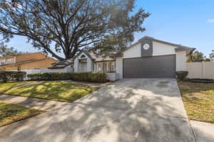 815 BLUEGRASS LANE, BRANDON, FL 33510 Sold 05/02/25