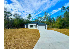 8428 POCONO DRIVE, CITRUS SPRINGS, FL 34434 - MLS#MFRO6278098