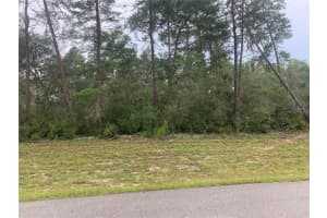 SW 50 TERRACE RD, OCALA, FL 34473 - MLS#MFRO6278415