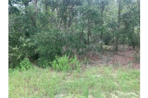 SW 50 TERRACE RD, OCALA, FL 34473 - MLS#MFRO6278415