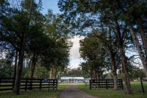 9919 HICKORY HOLLOW ROAD, LEESBURG, FL 34788 - MLS#MFRO6278552