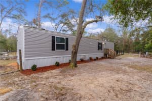 11815 13TH STREET, OCALA, FL 34482 Sold 04/08/25