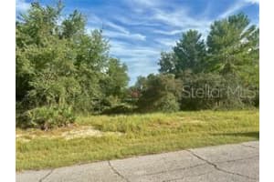 1454 KISSIMMEE WAY, POINCIANA, FL 34759 - MLS#MFRO6279007