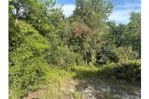 1454 KISSIMMEE WAY, POINCIANA, FL 34759 - MLS#MFRO6279007