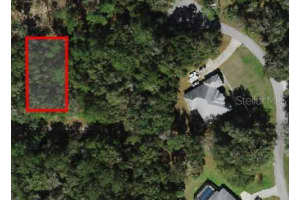 297 WHITMARSH COURT, DUNNELLON, FL 34434 - MLS#MFRO6279039