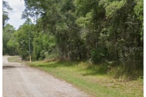 297 WHITMARSH COURT, DUNNELLON, FL 34434 - MLS#MFRO6279039