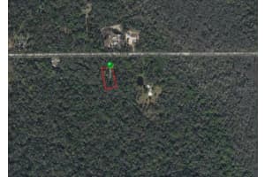 NO STREET, OAK HILL, FL 32759 - MLS#MFRO6279092