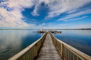 2929 LAKESHORE DRIVE, MOUNT DORA, FL 32757 - MLS#MFRO6279745
