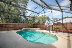 2929 LAKESHORE DRIVE, MOUNT DORA, FL 32757 - MLS#MFRO6279745
