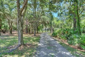 3860 BRANTON DRIVE, OVIEDO, FL 32765 Sold 04/04/25